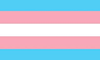 trans flagge