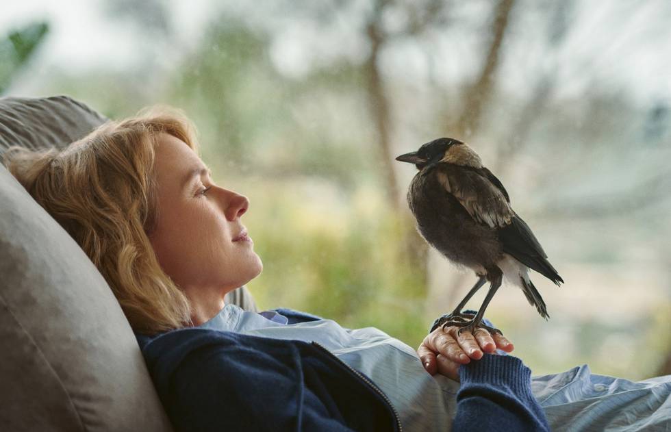 BEFLÜGELT – Ein Vogel namens Penguin Bloom, Naomi Watts