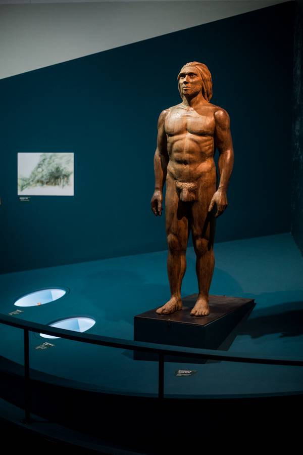 Neanderthal exhibition