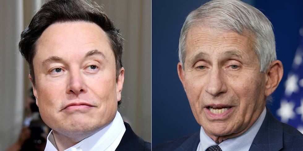 Musk and Fauci