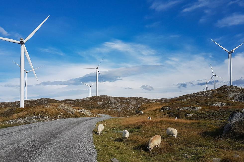 Windpark Tesla in Norwegen.jpg
