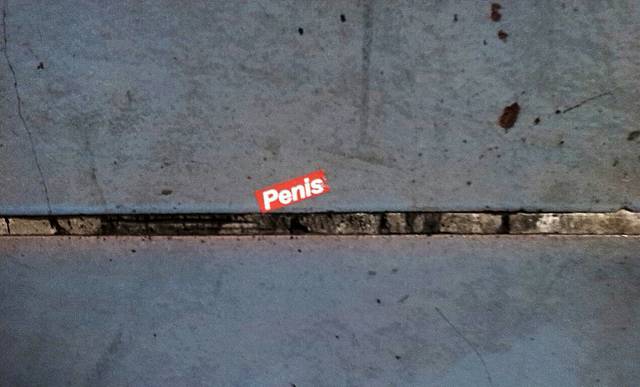 Penis.jpg